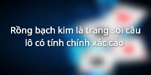 Rồng bạch kim là trang soi cầu lô có tính chính xác cao