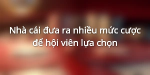 Nhà cái đưa ra nhiều mức cược để hội viên lựa chọn